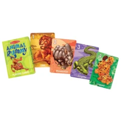 Classic Card Game Set