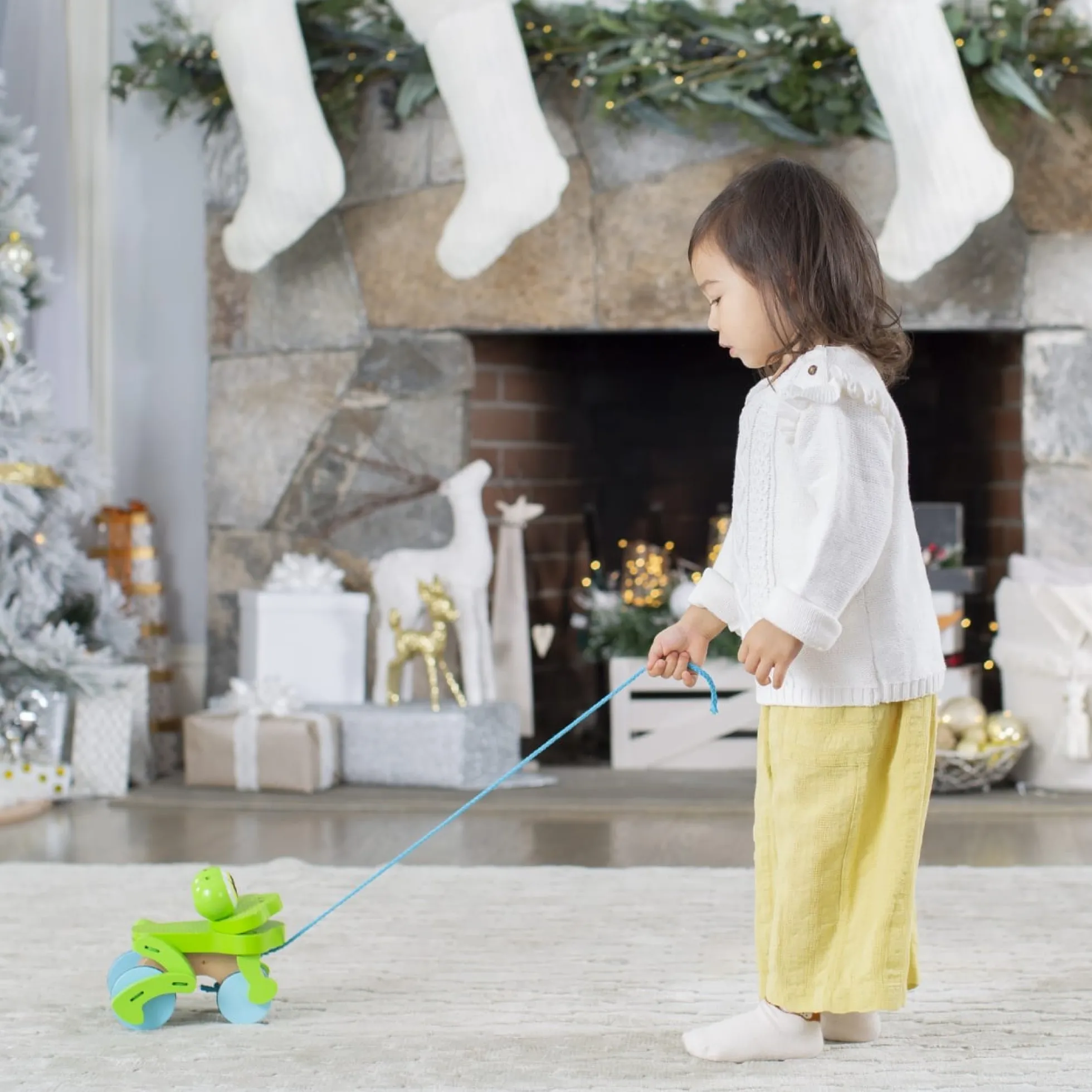 First Play Frolicking Frog Wooden Pull Toy
