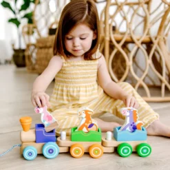 First Play Wooden Rocking Farm Animals Pull Train