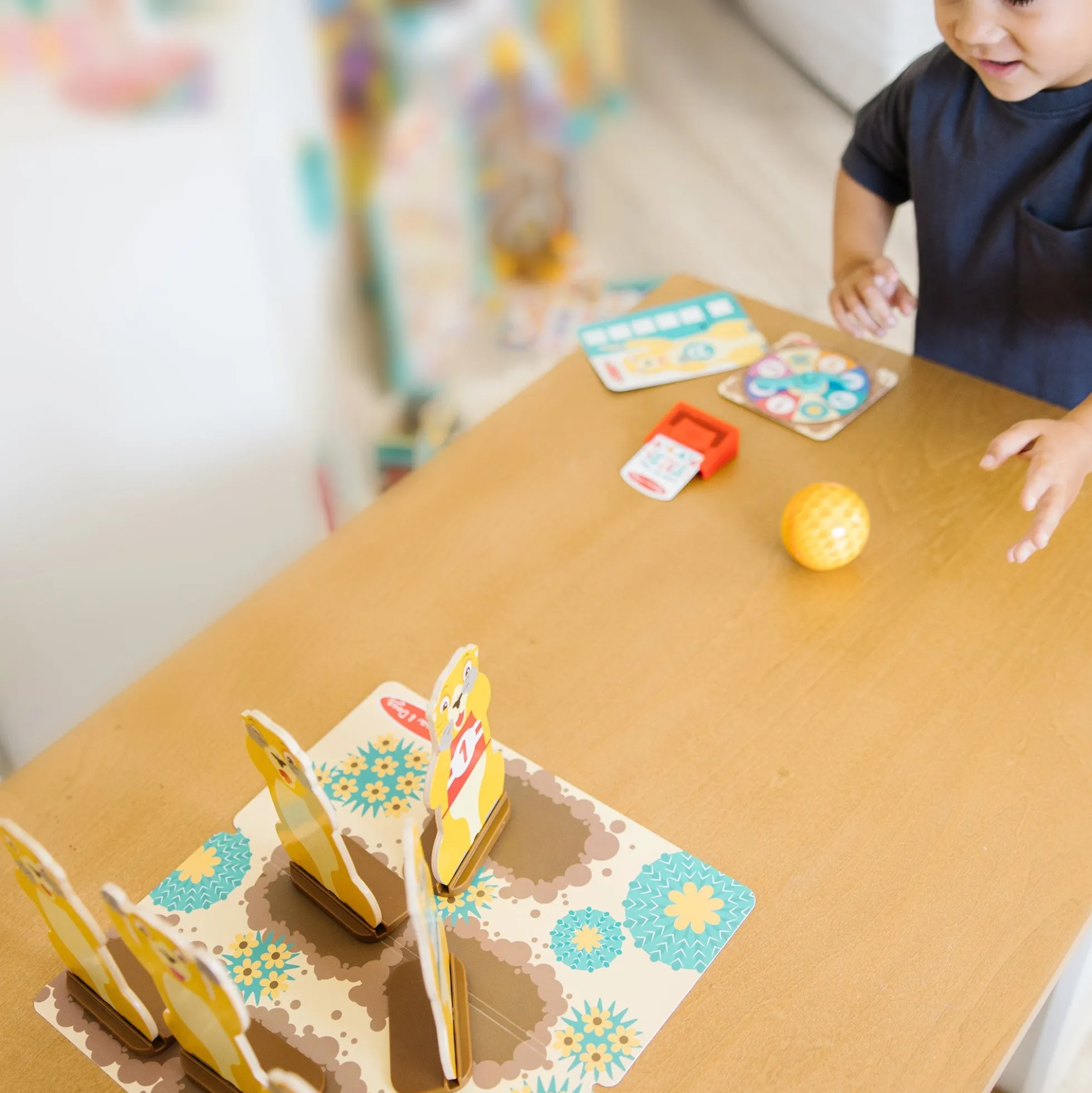 Fun at the Fair! Armadillo Roll & Bowl