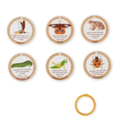 Let’s Explore Terrarium Observations Play Set