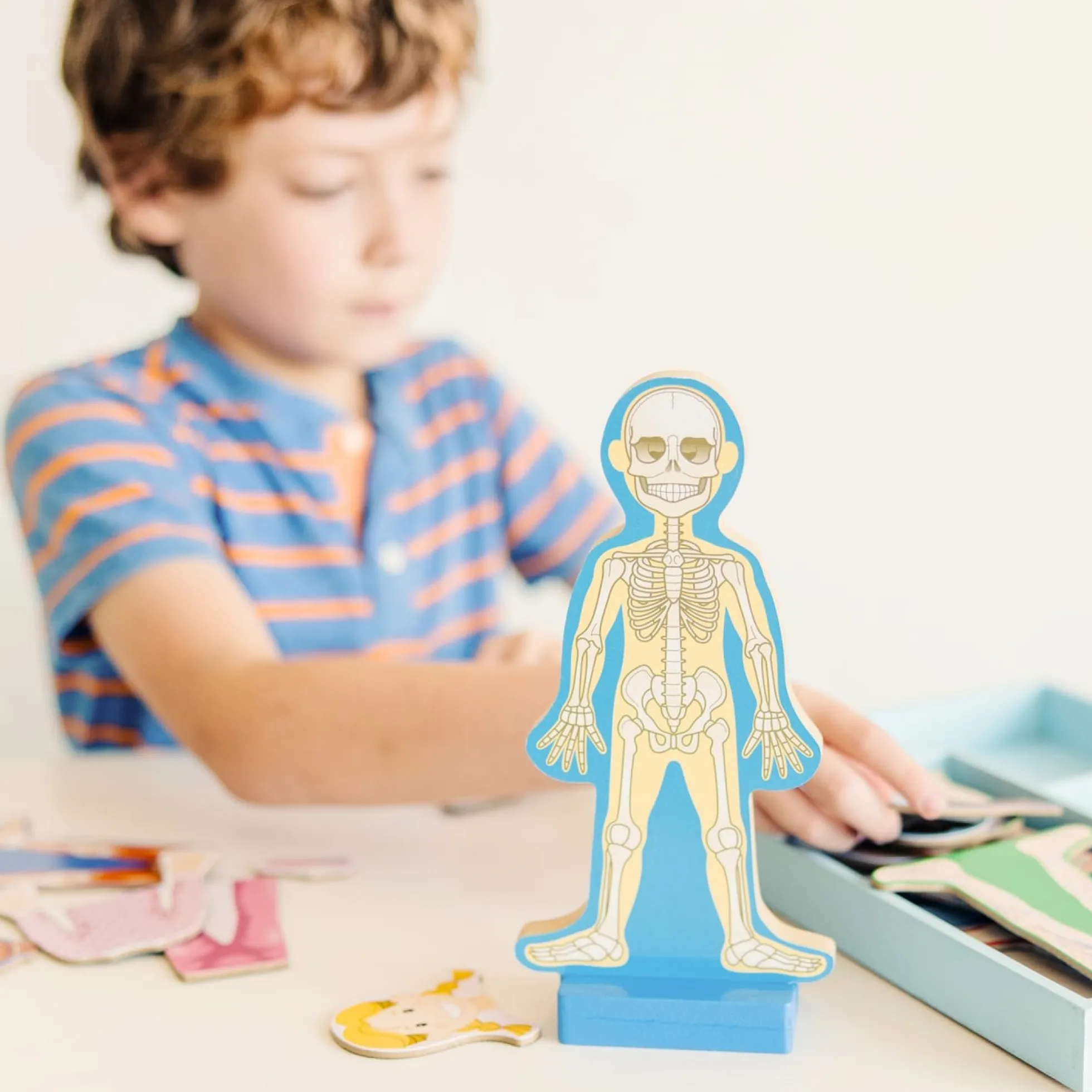Magnetic Human Body Play Set