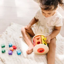 Match and Roll Shape Sorter