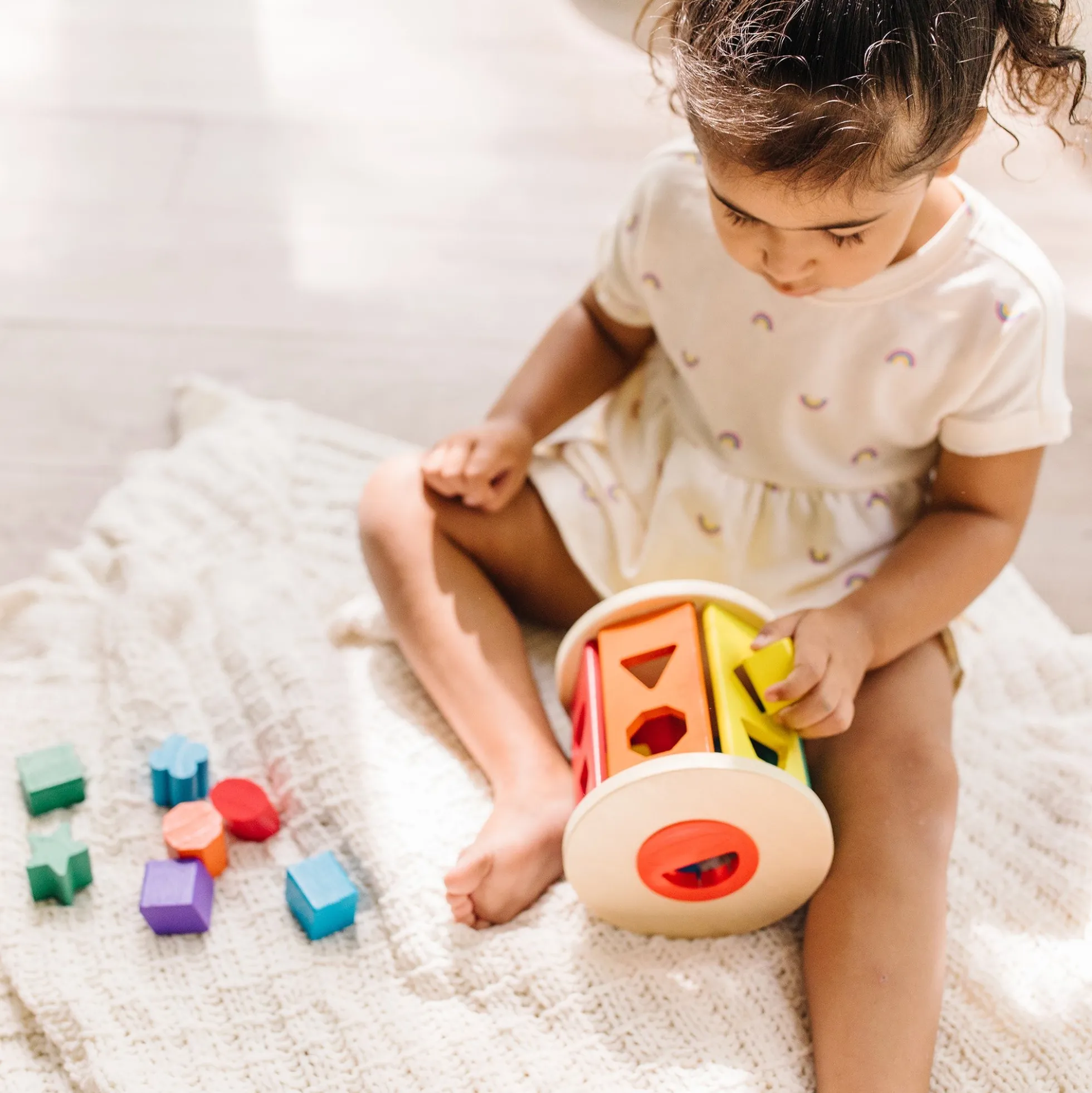 Match and Roll Shape Sorter