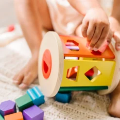Match and Roll Shape Sorter