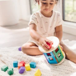 Match and Roll Shape Sorter