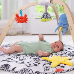 Ocean Easy-Fold Play Gym
