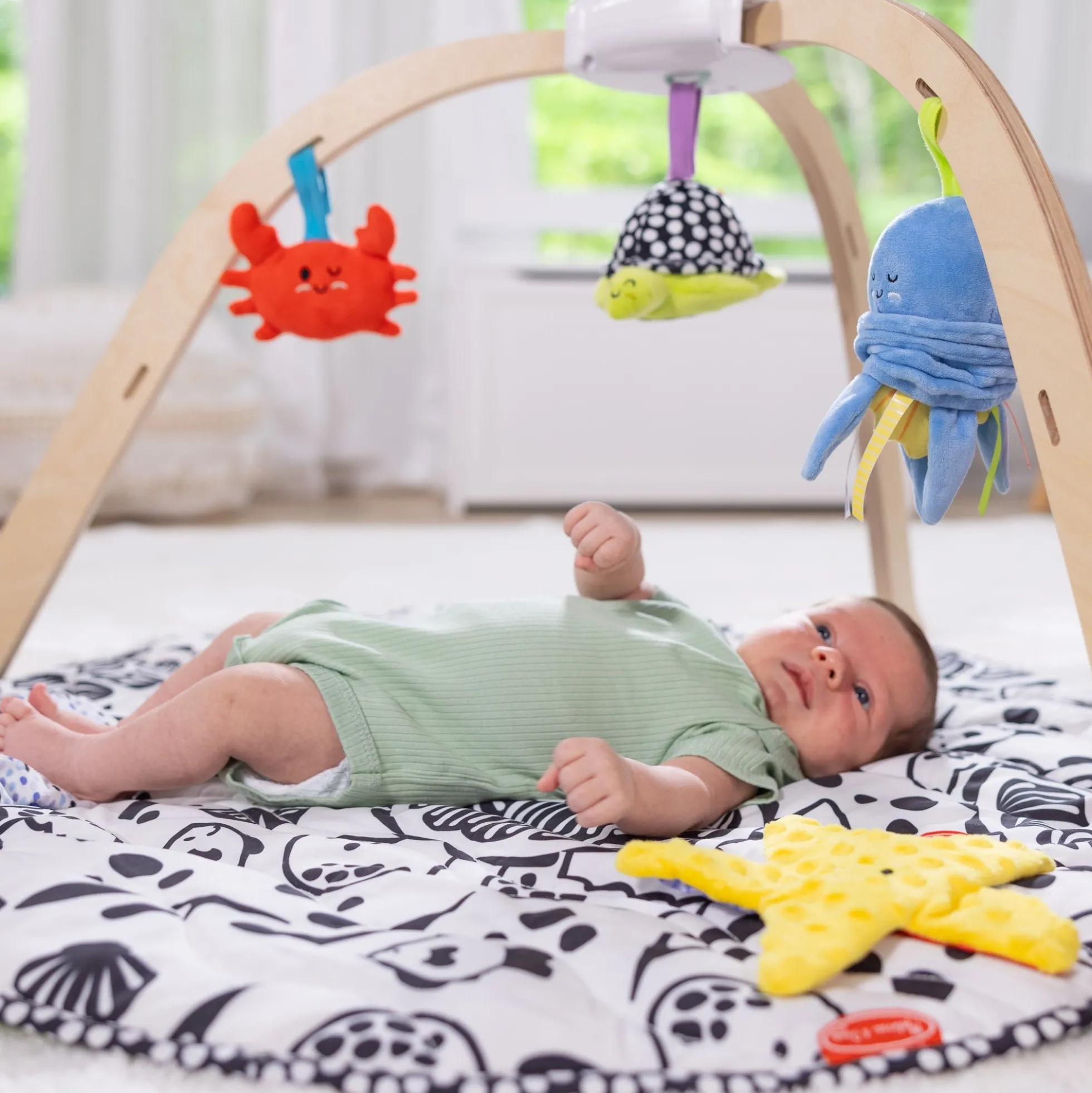 Ocean Easy-Fold Play Gym