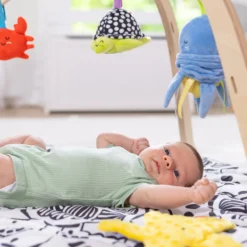 Ocean Easy-Fold Play Gym