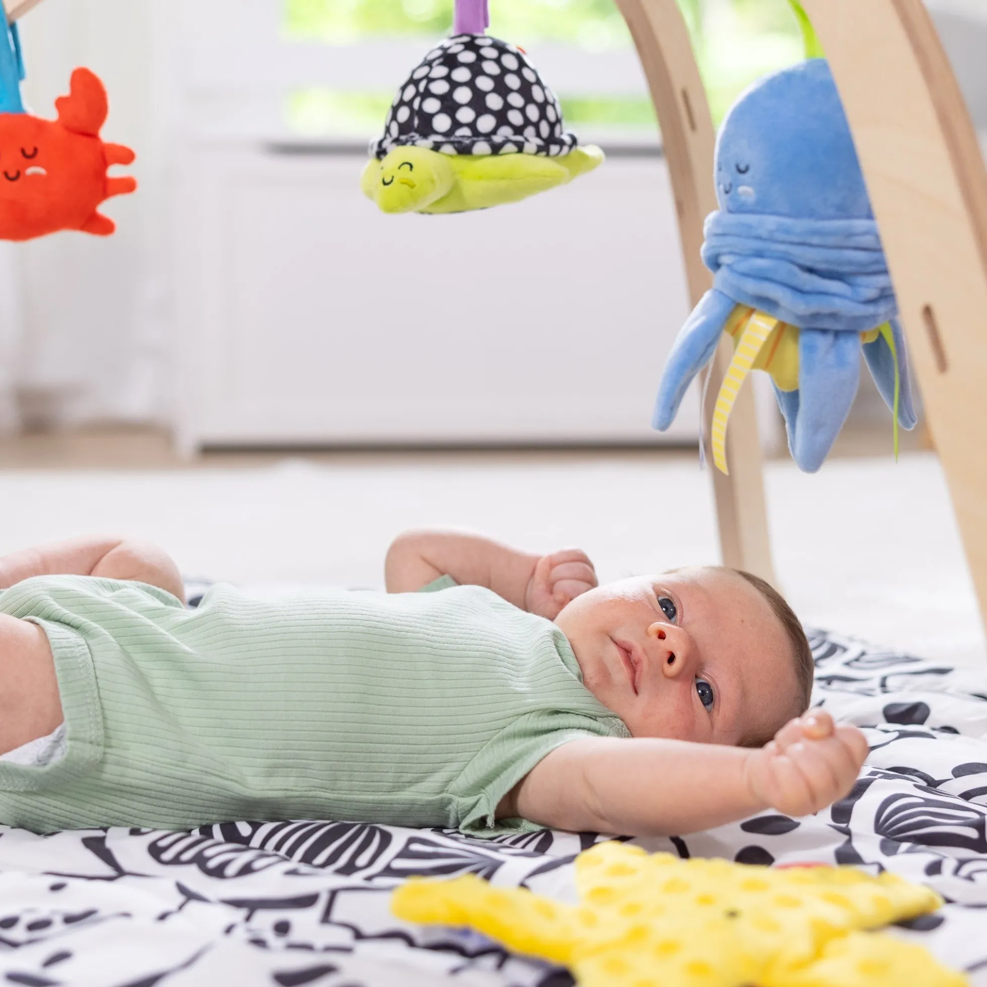 Ocean Easy-Fold Play Gym