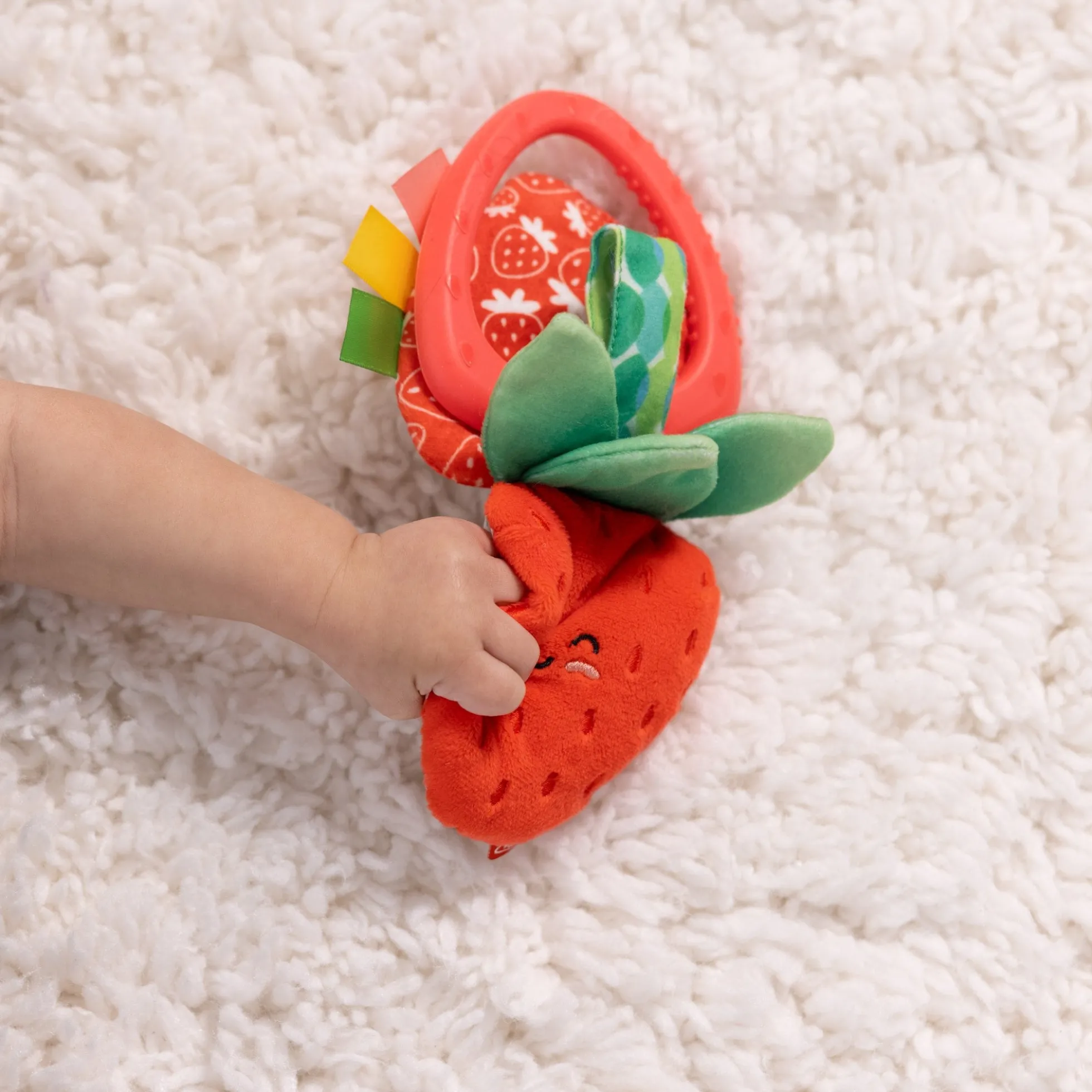 Peek-a-Boo Berry Take-Along Toy