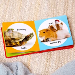 Poke-a-Dot: Pet Families Board Book