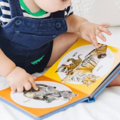 Poke-a-Dot: Wild Animal Families Board Book