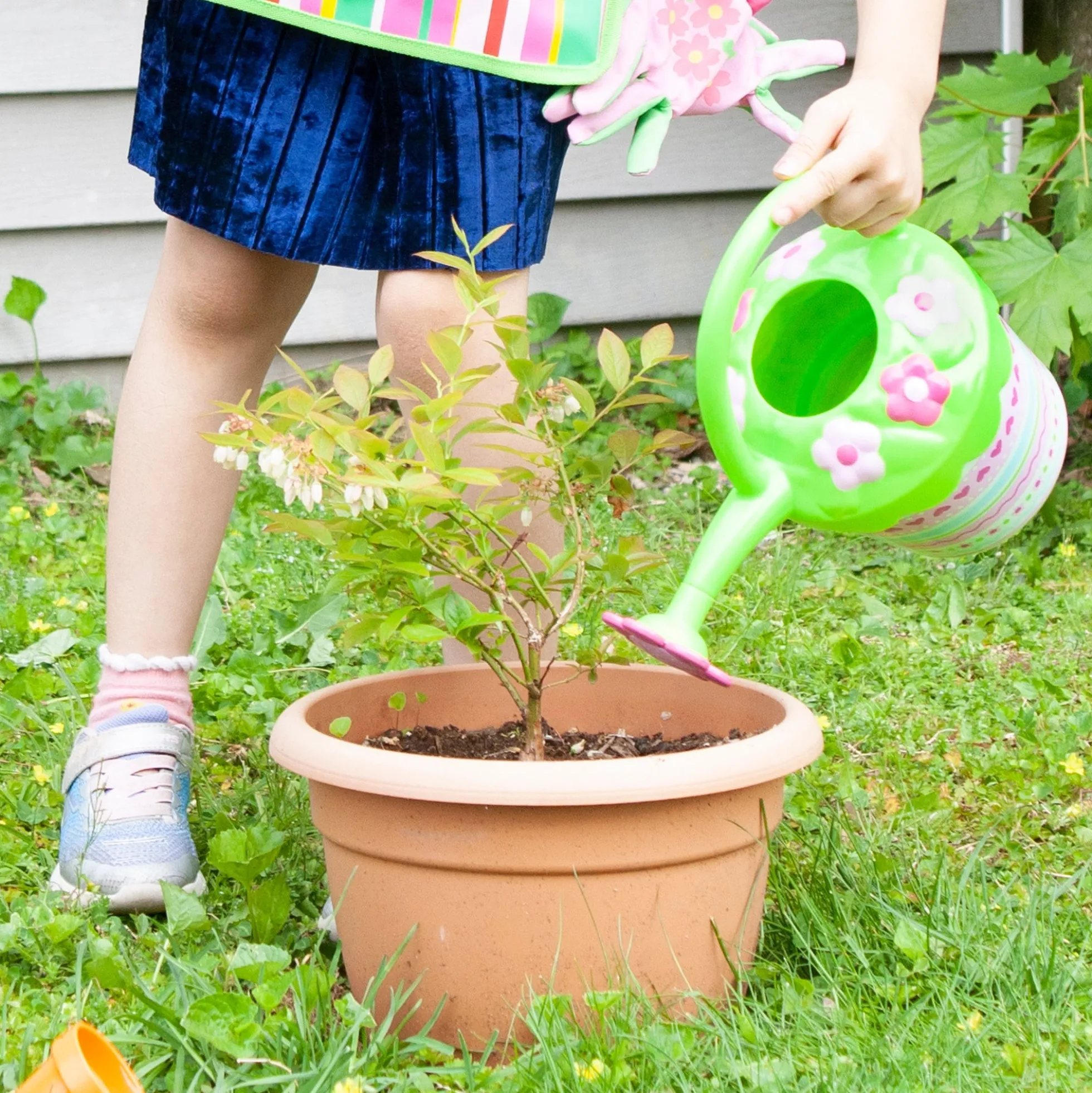 Pretty Petals Watering Can
