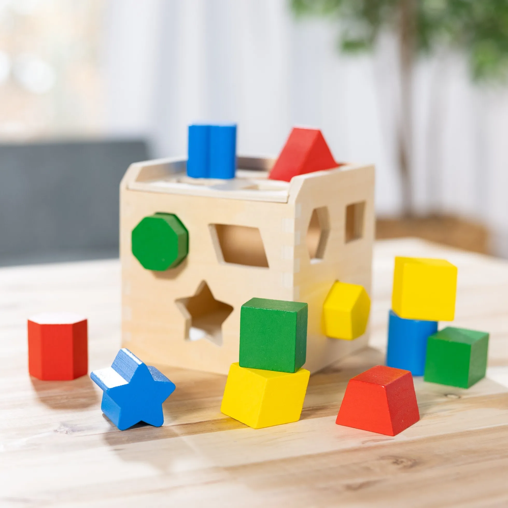 Shape-Sorting Cube