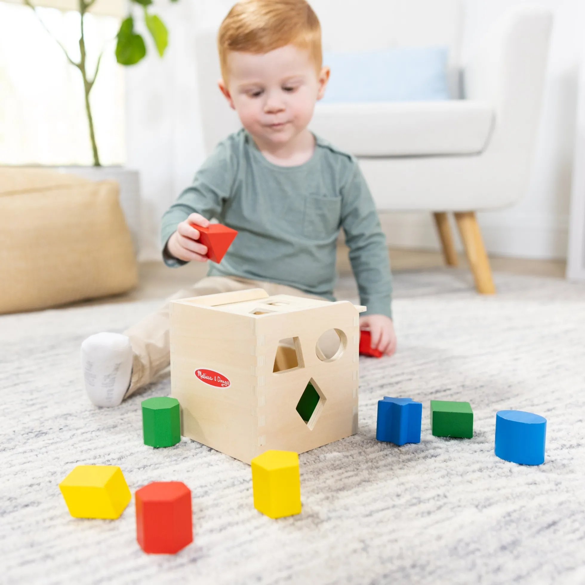 Shape-Sorting Cube