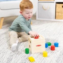 Shape-Sorting Cube