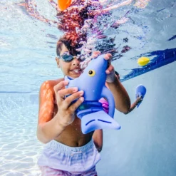 Spark Shark Fish Hunt Pool Toy