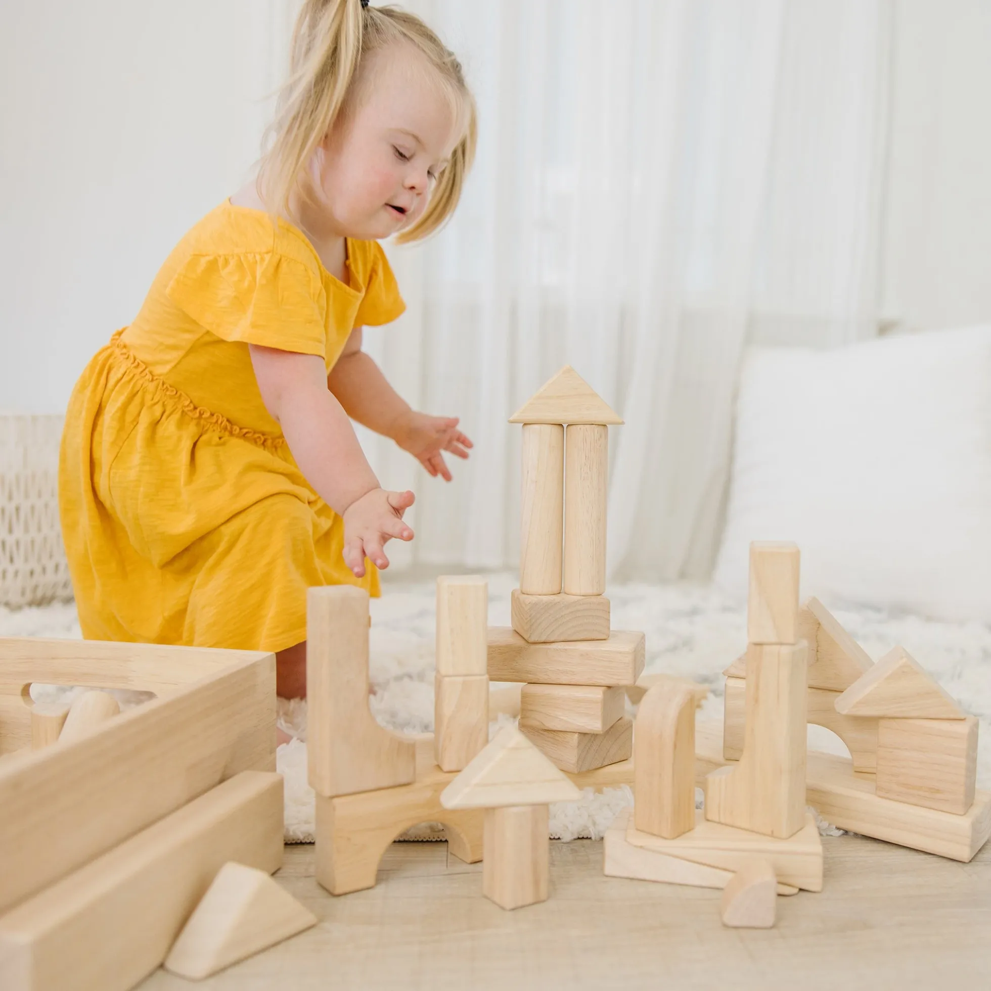 Standard Unit Blocks